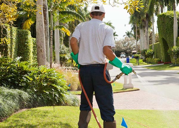 About Meshoppen PA Pest Control